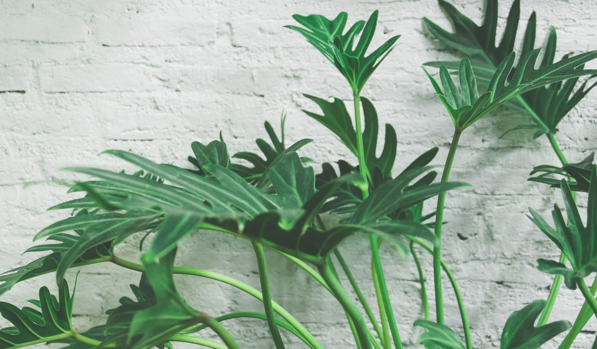 indoor_air_quality