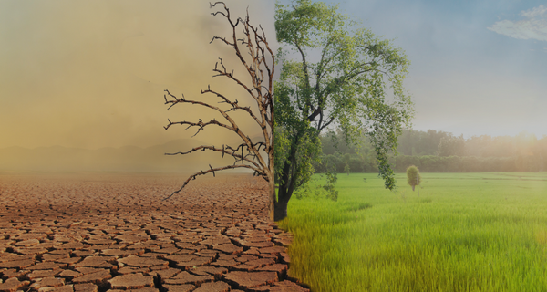 An Image showcasing healthy earth and unhealthy earth with Climate Change