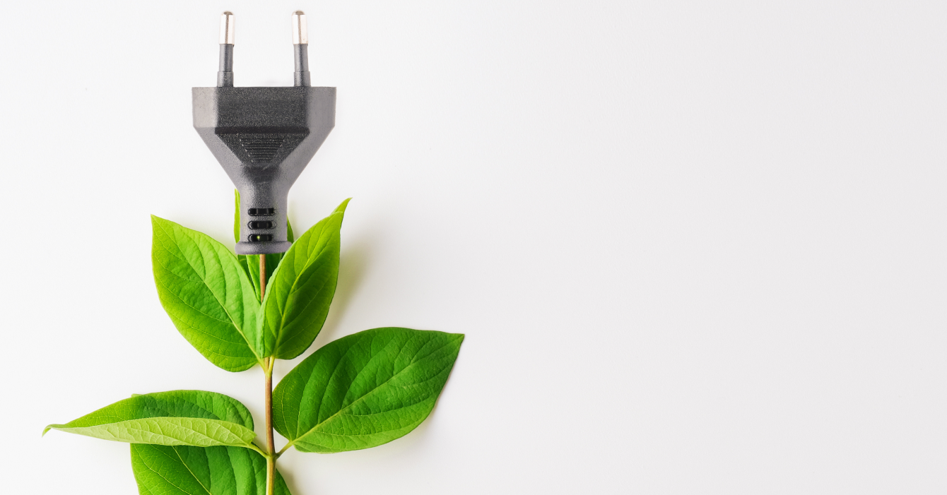 Carbon Neutral Copper Tree Analytics (5)