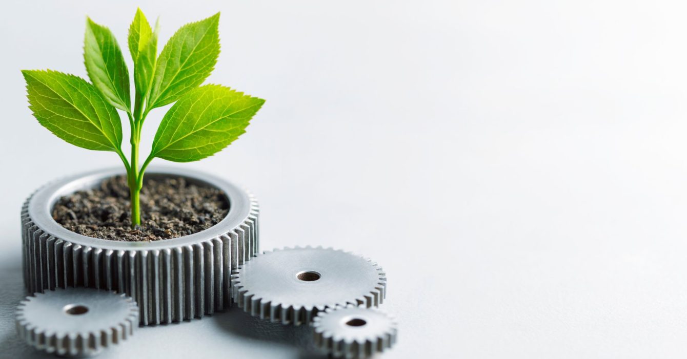 LEED certification